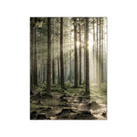 Modern Nature Scenery Wall Art