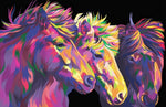 Colourful Horses Canvas Oil Painting