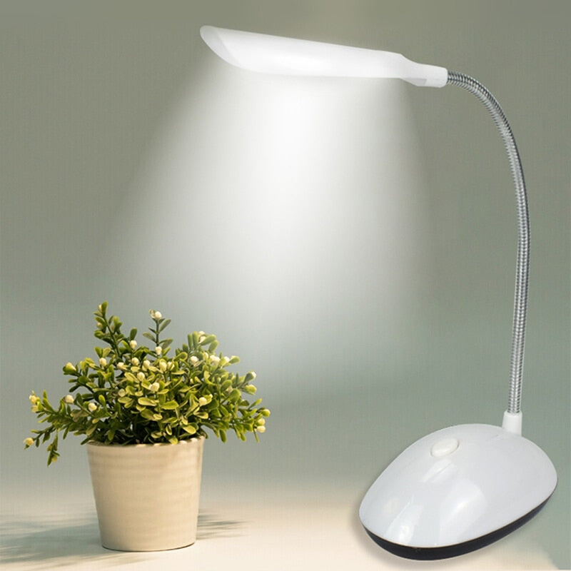 LED Desk Lamp